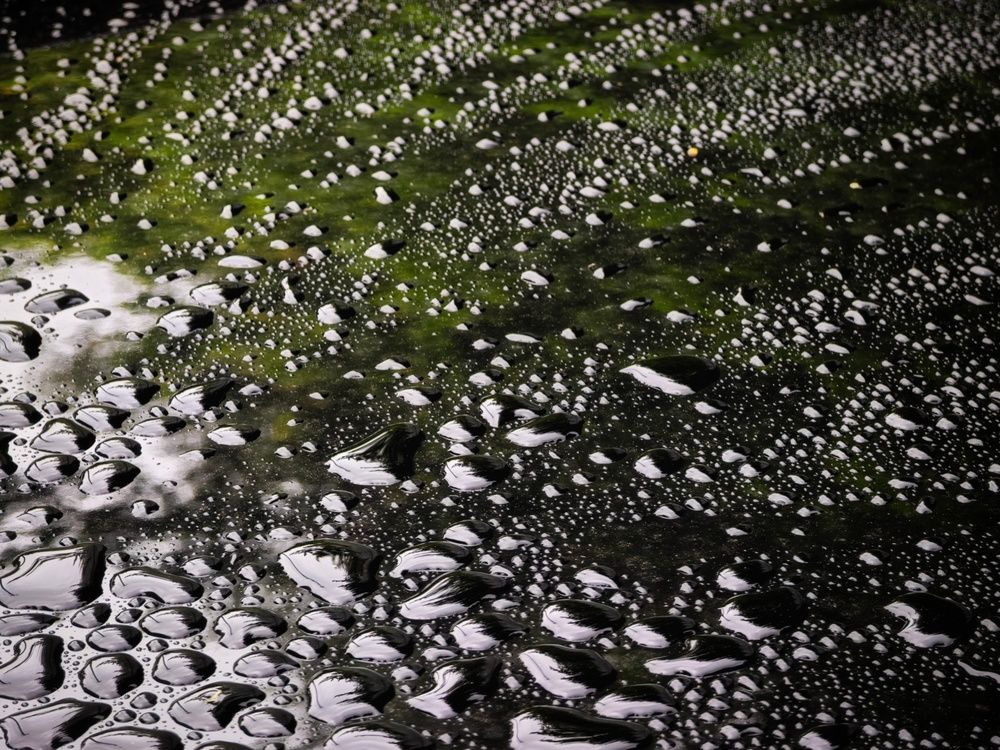 Photograph by Татьяна Соколовская