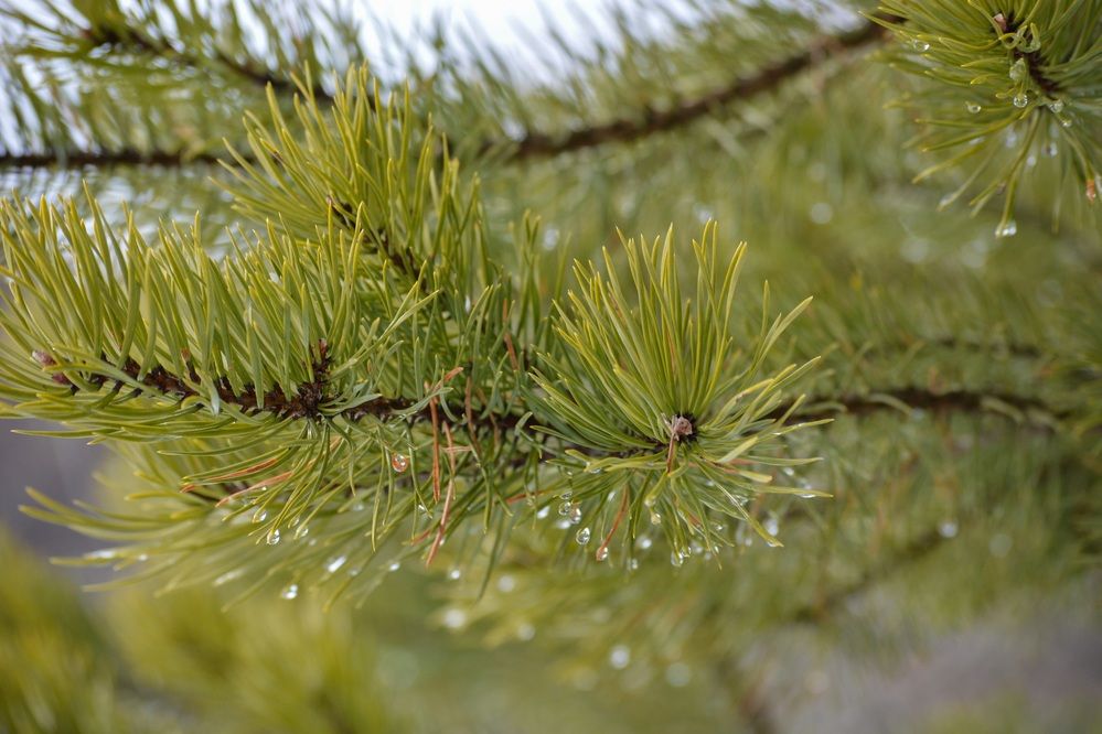 Photograph by Екатерина Казарцева