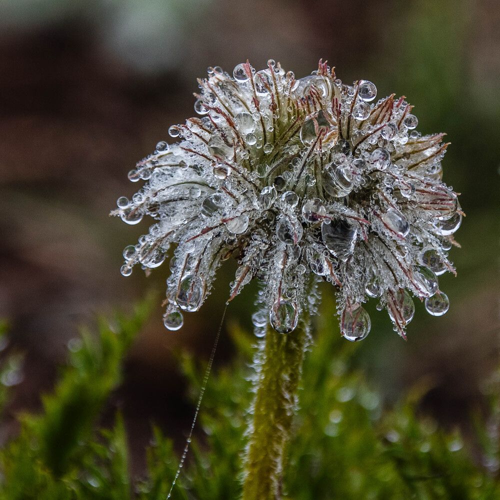 Photograph by Анатолий Костерев