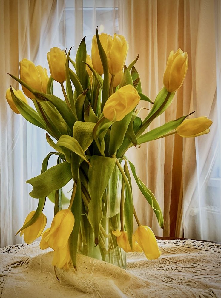 Photograph by Галина Иванова