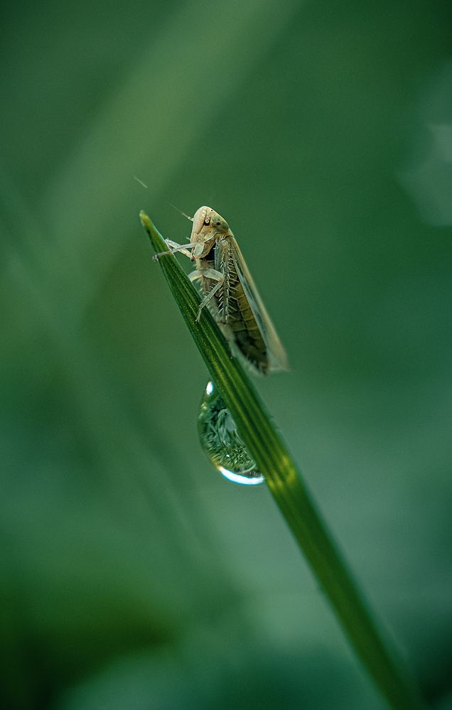Photograph by Rut Andrey