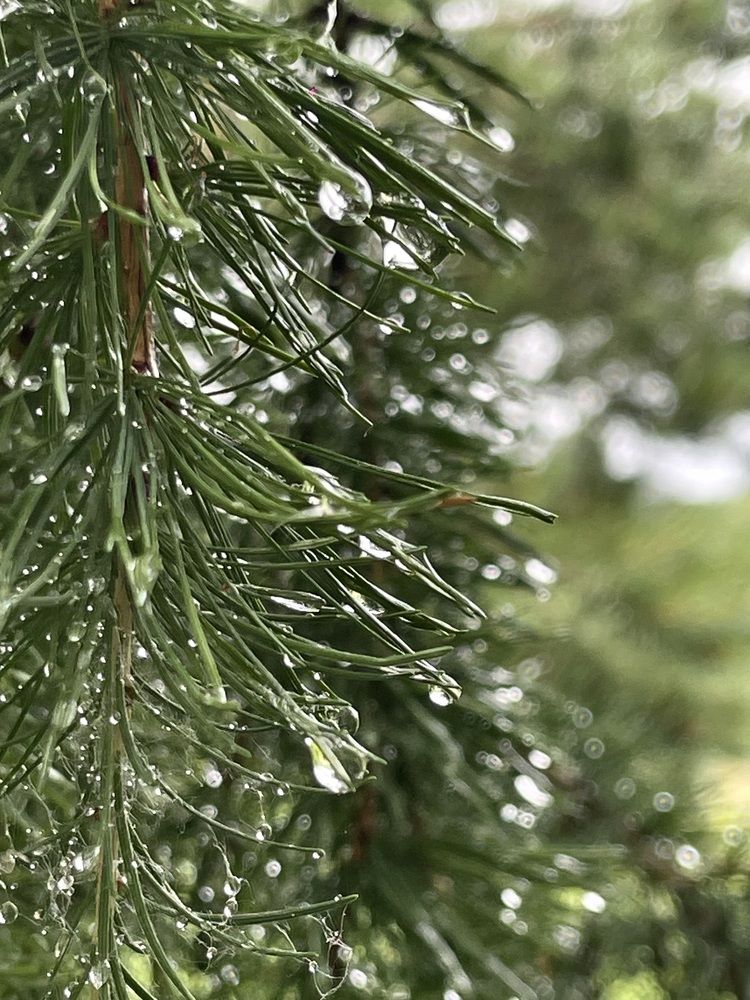 Photograph by Nadya Sterligova