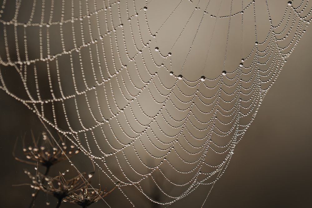 Photograph by Ворожцова Марина