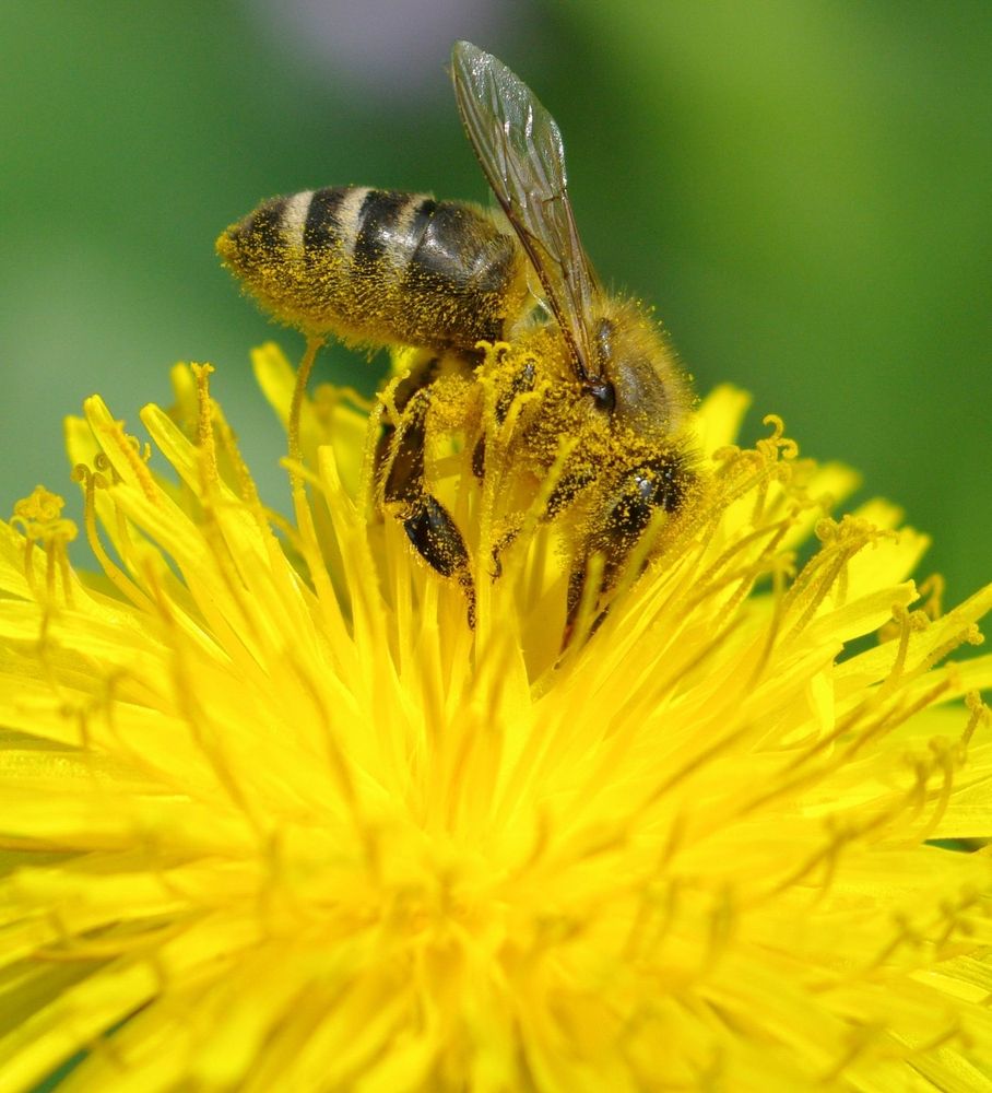 Photograph by Арсен Алабердов