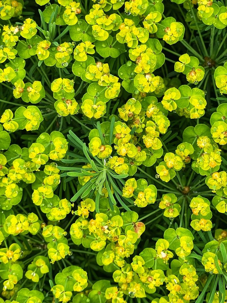 Фотография автора Nadezhda