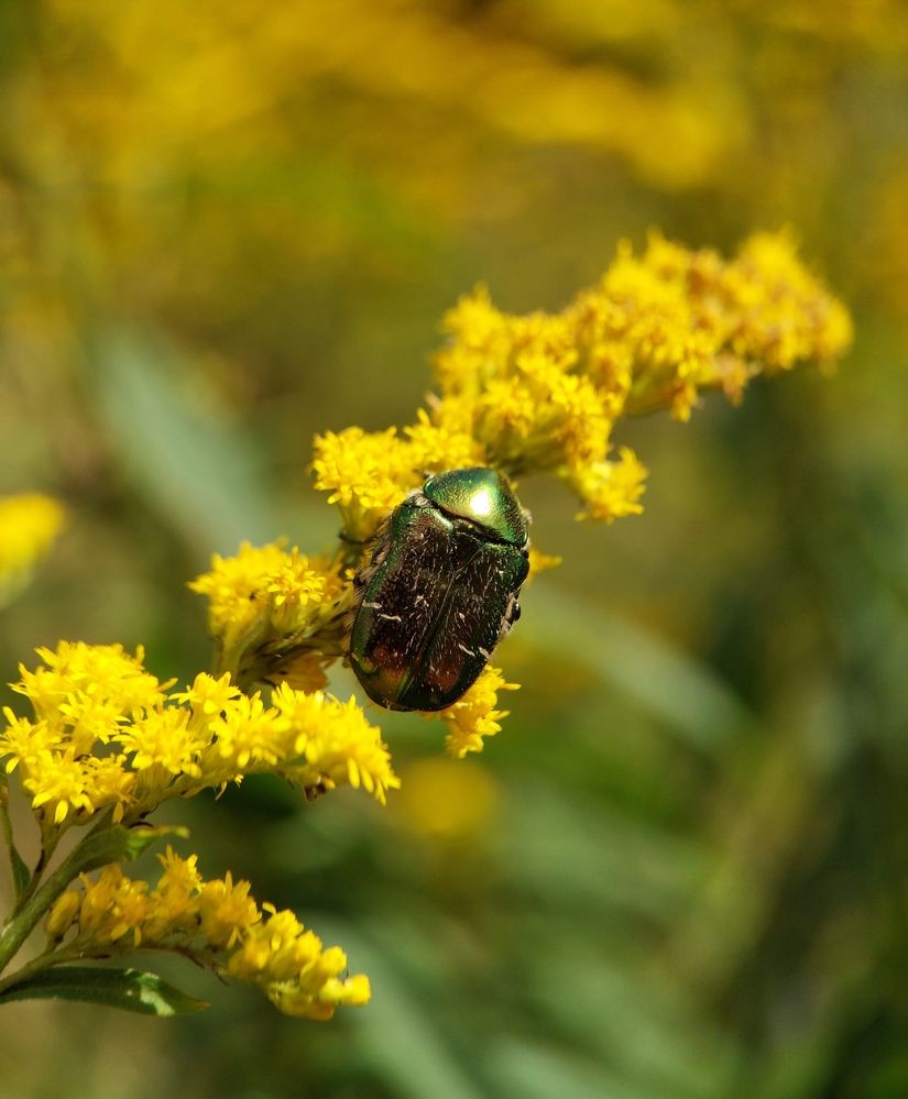 Photograph by Данила Черезов