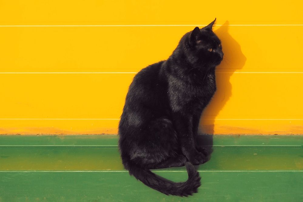 Photograph by Микрокосмос Владимир