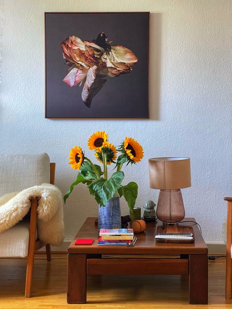 Фотография автора Nadezhda