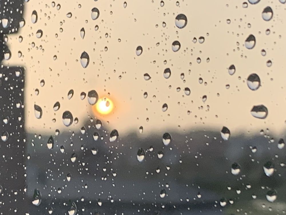 Фотография автора Ирина Шпаковская