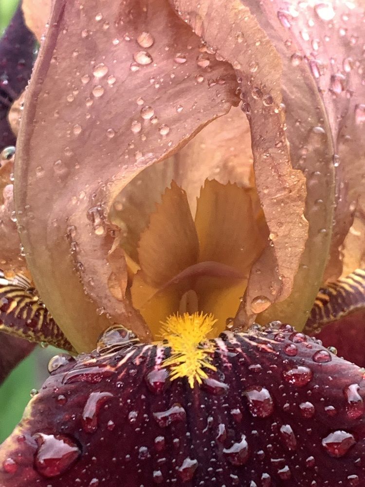 Фотография автора Ирина Шпаковская