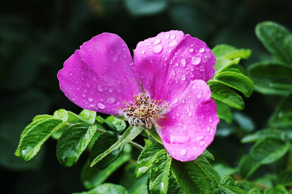 Фотография автора Геннадий Титов