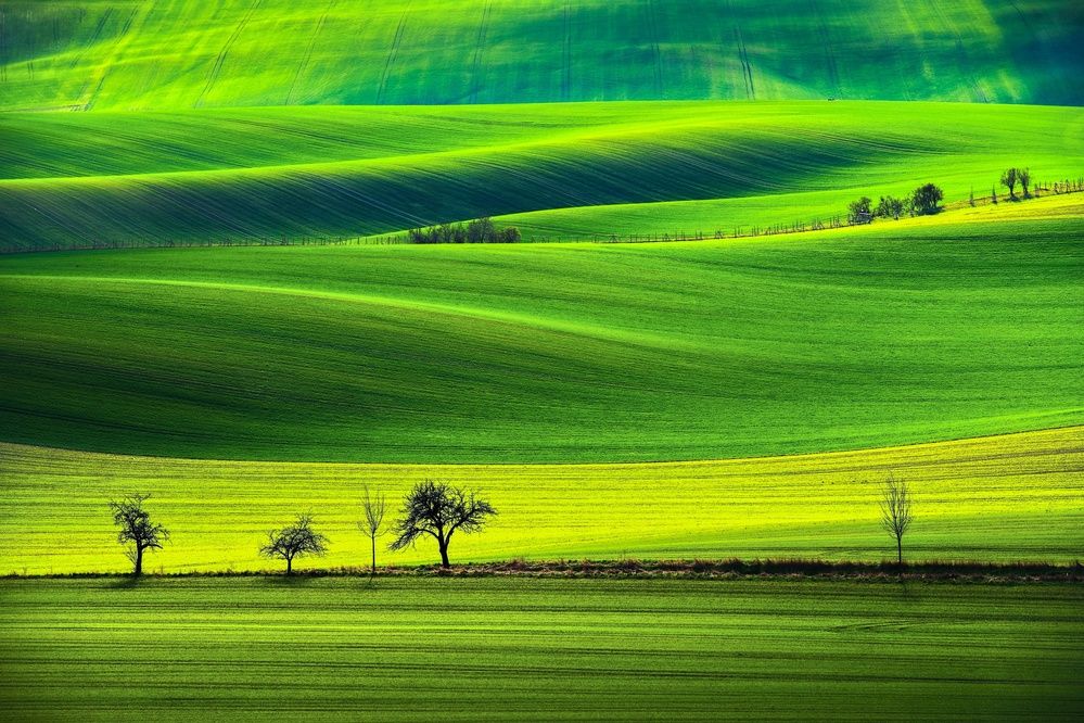 Photograph by Milan Uhrin