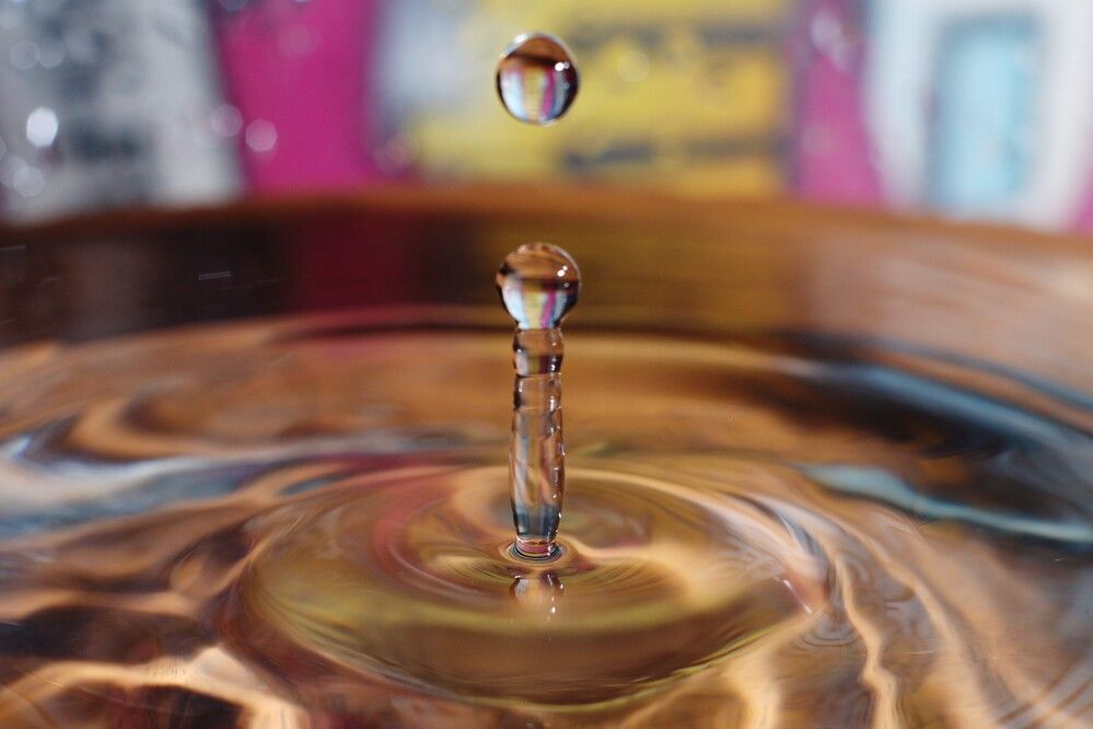 Фотография автора Геннадий Титов