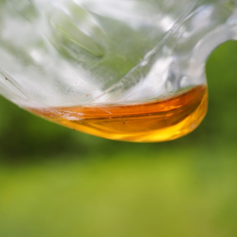 Photograph by Сергей Гаврилов