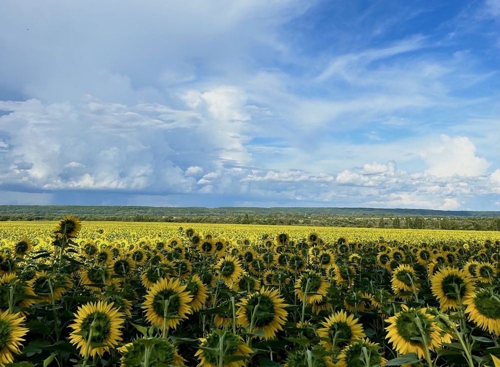 Photograph by Валентина