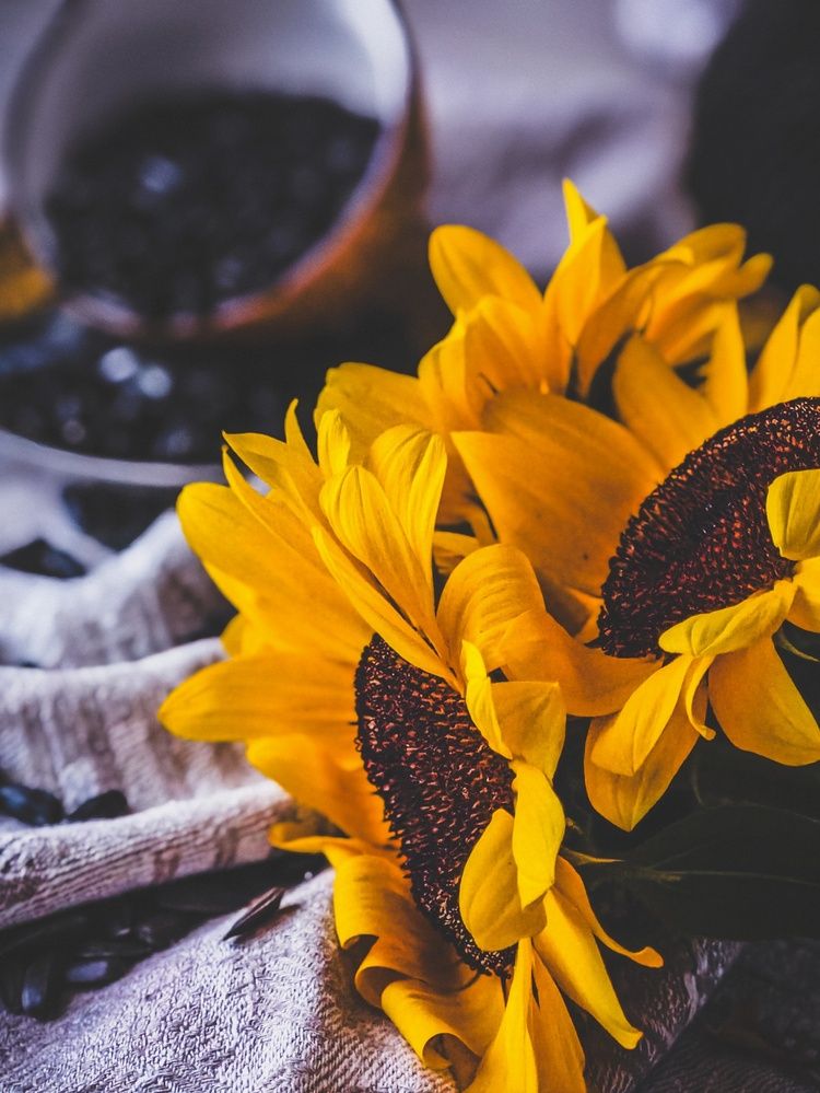 Photograph by Татьяна Соколовская