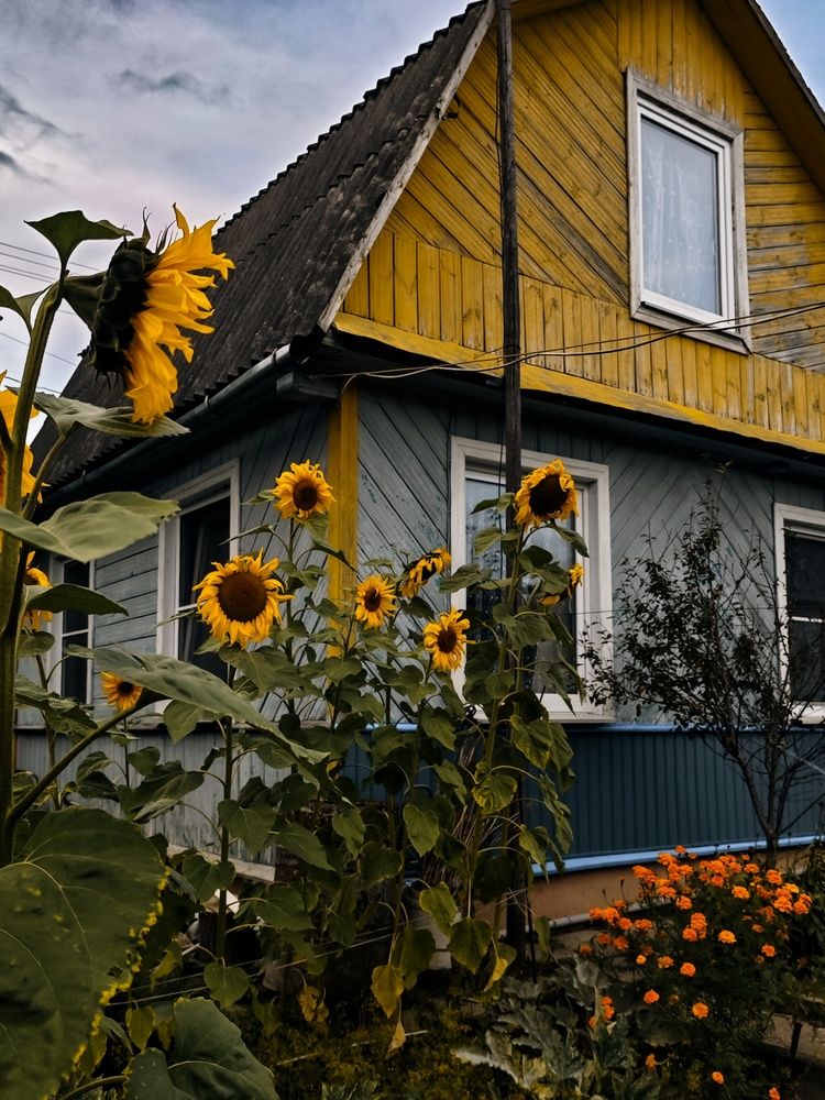 Photograph by Татьяна Соколовская