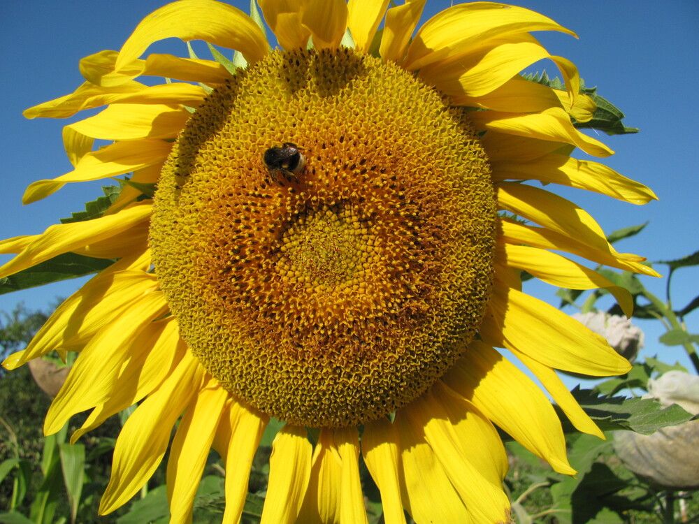 Photograph by Юлия