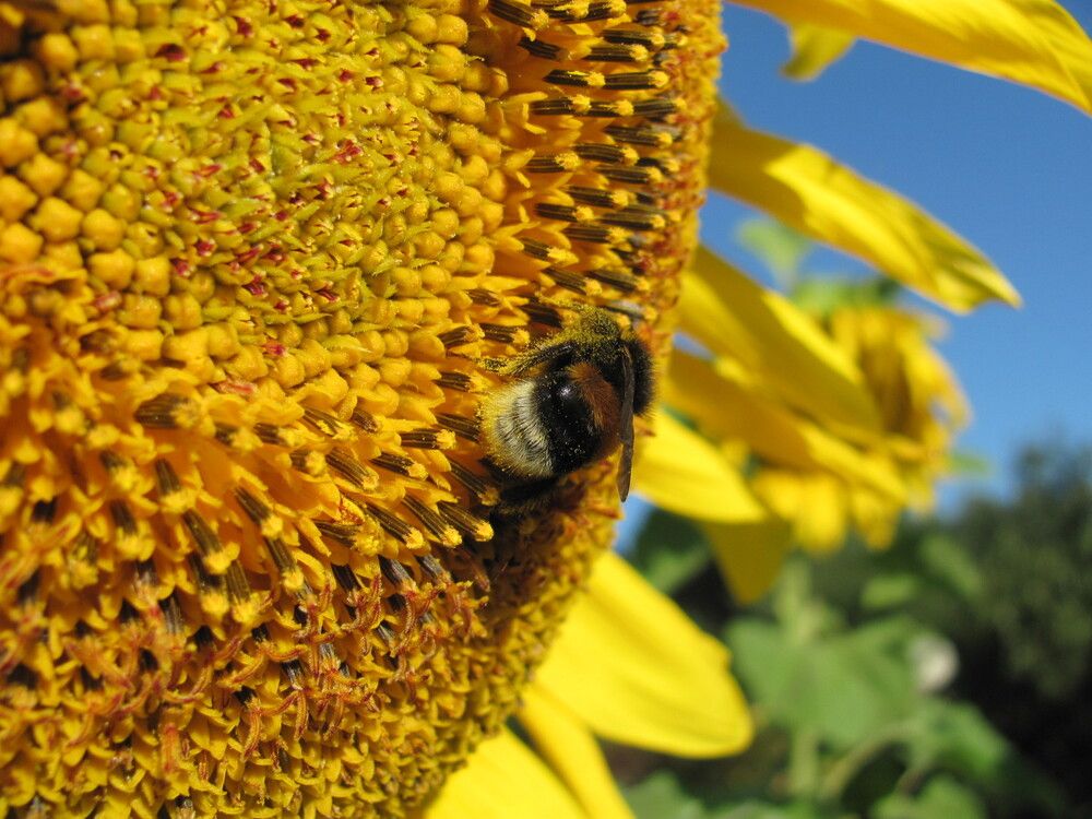 Photograph by Юлия