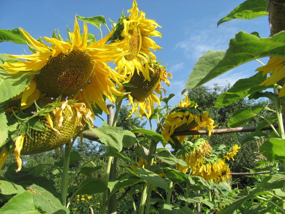 Photograph by Юлия