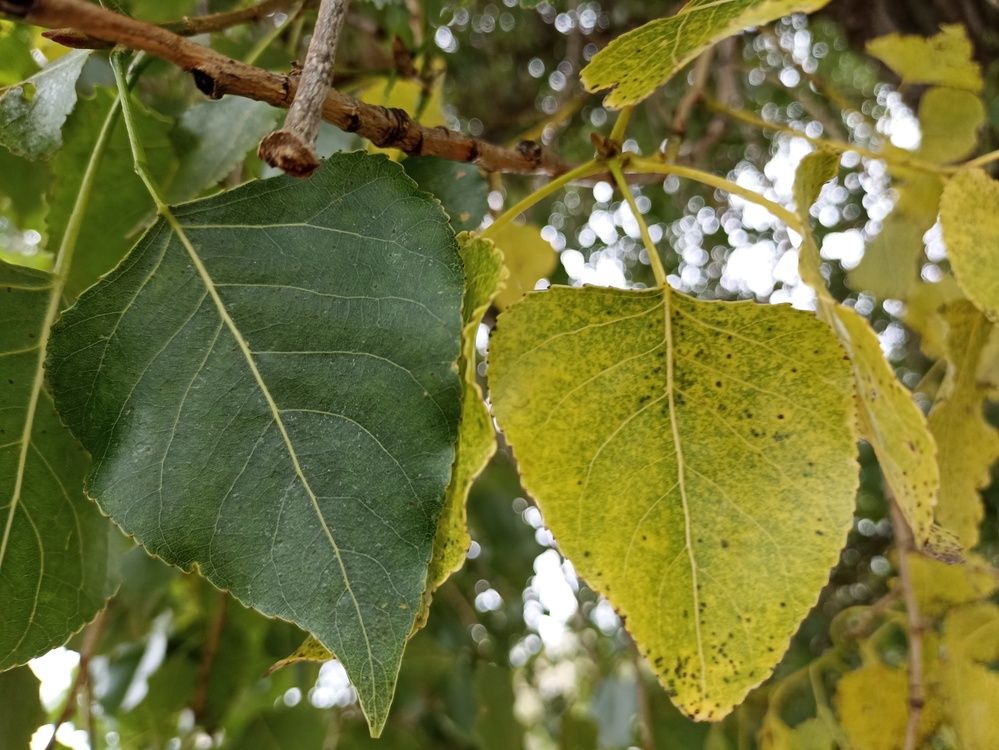 Photograph by Юлия