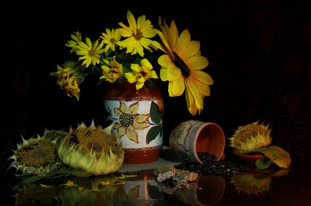 Фотография автора Nelya  Lysenko