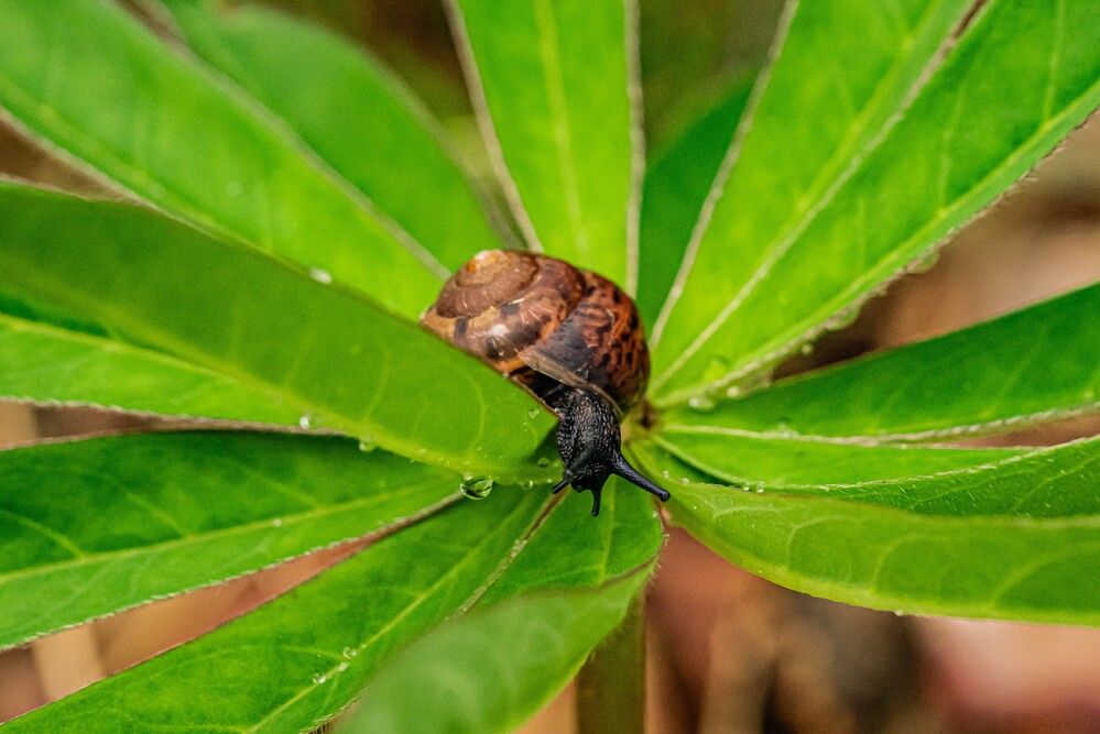 Photograph by Tanzilya Gabidullina