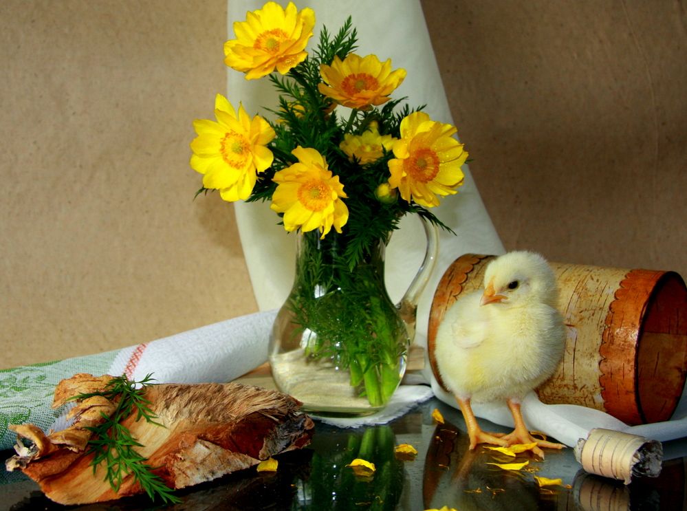 Фотография автора Nelya  Lysenko