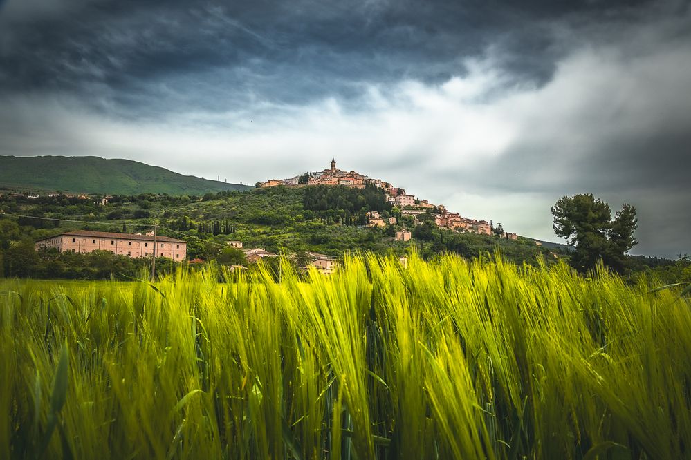 Photograph by Denis Cristian BURMELEAC