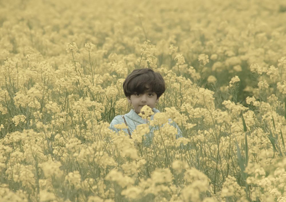 Yellow Green Flowers