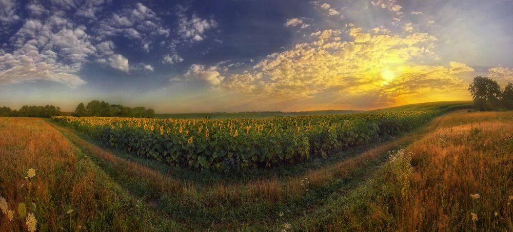 Photograph by Владимир