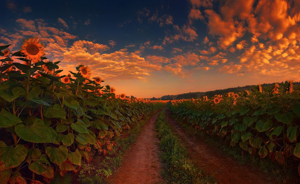 Photograph by Владимир