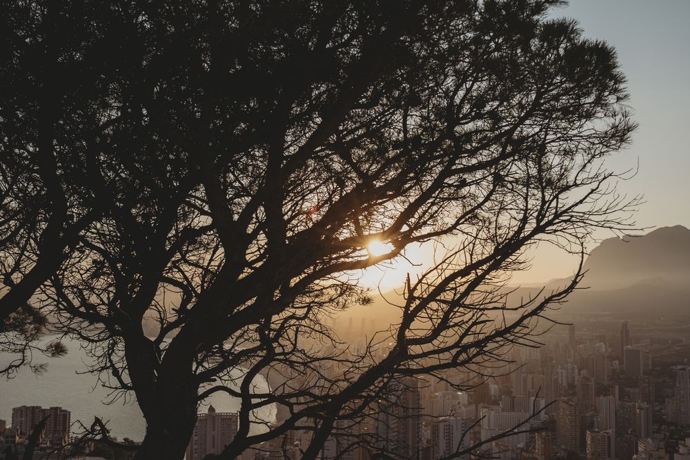 Photograph by Anastasiya Lopez Pogodina