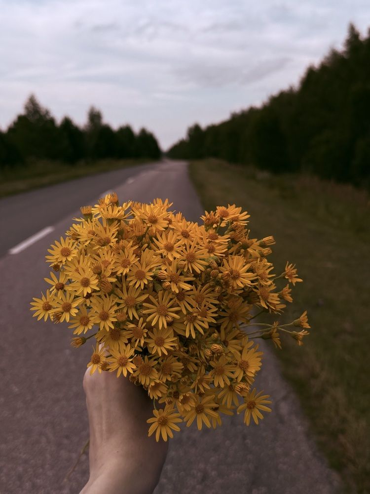 Photograph by Валентина