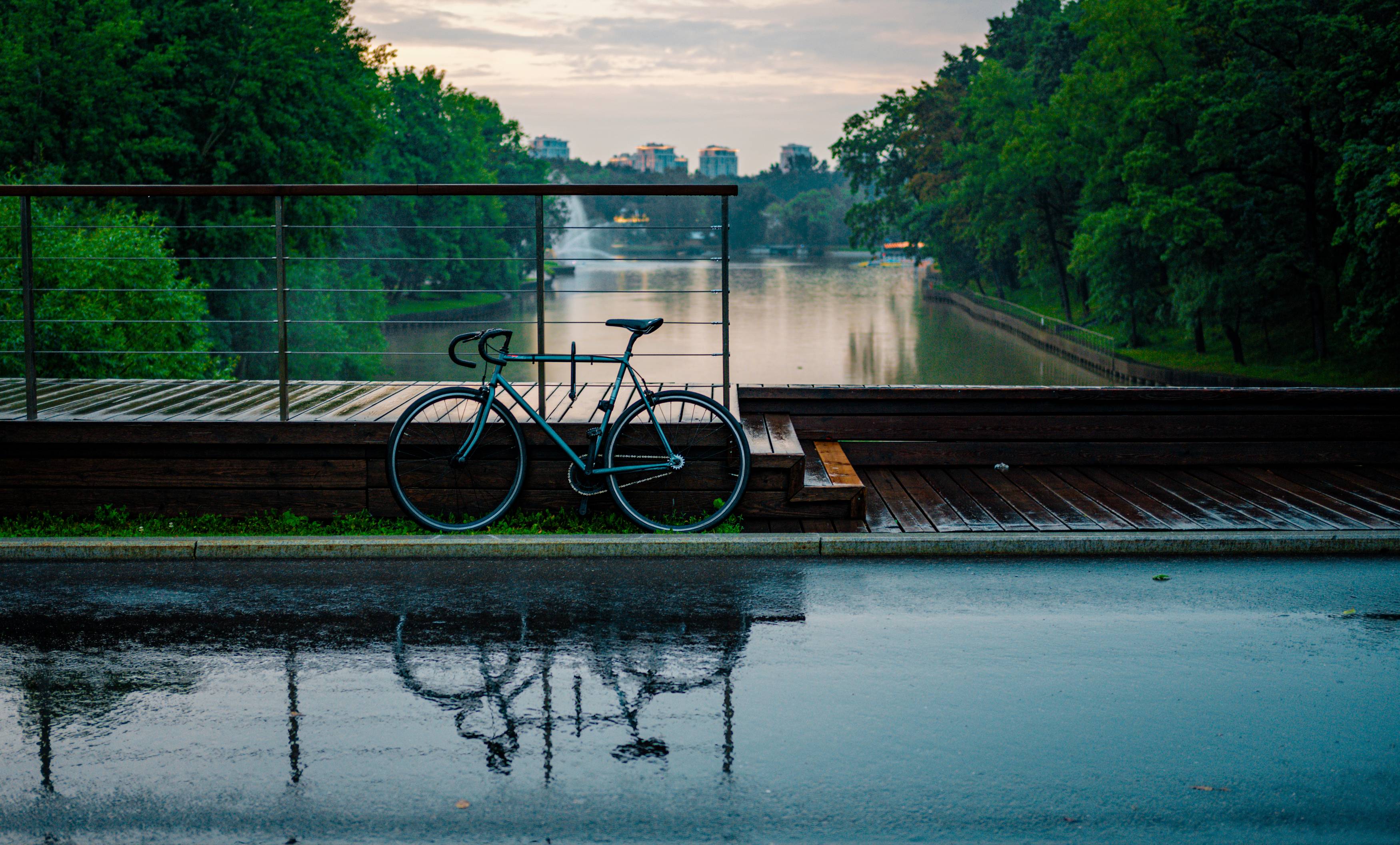 Photo #12597477