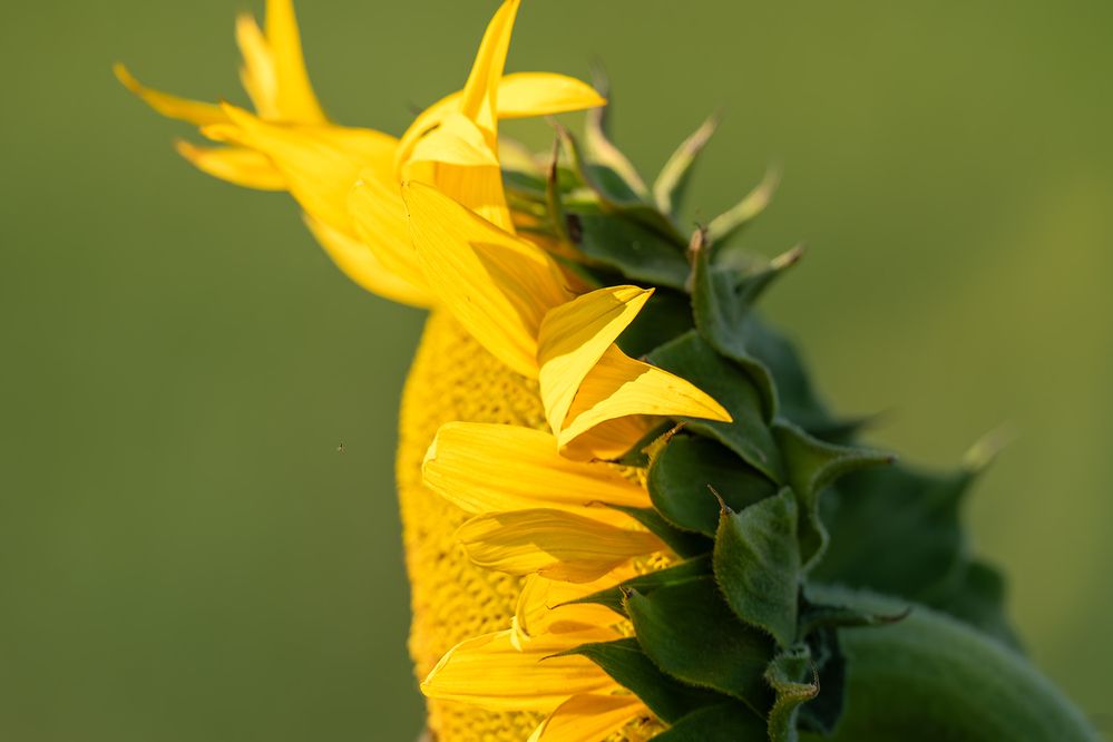 Photograph by Sajkovski Dejan