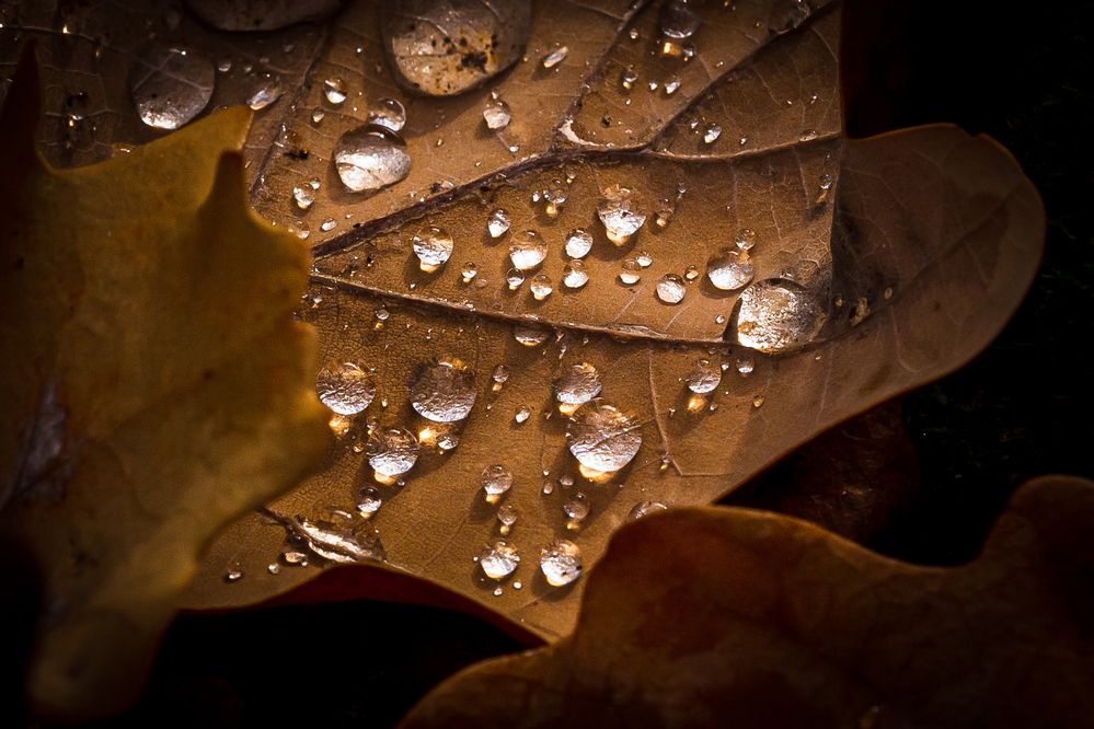 Photograph by Максимов Алексей