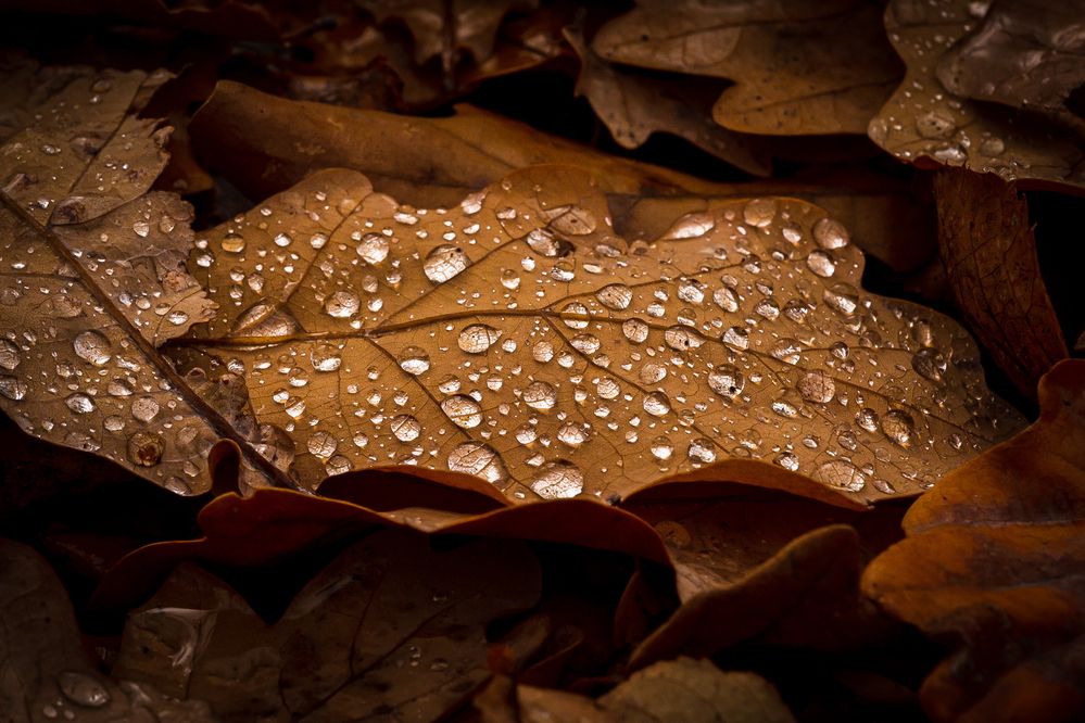 Photograph by Максимов Алексей