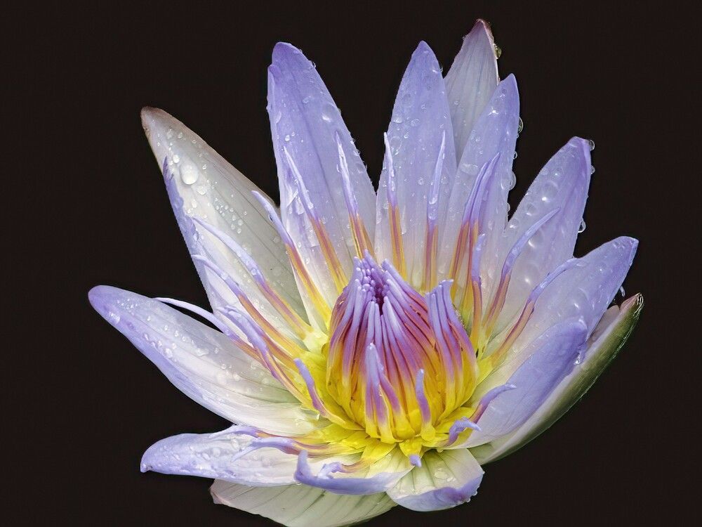 Photograph by Carol Taylor