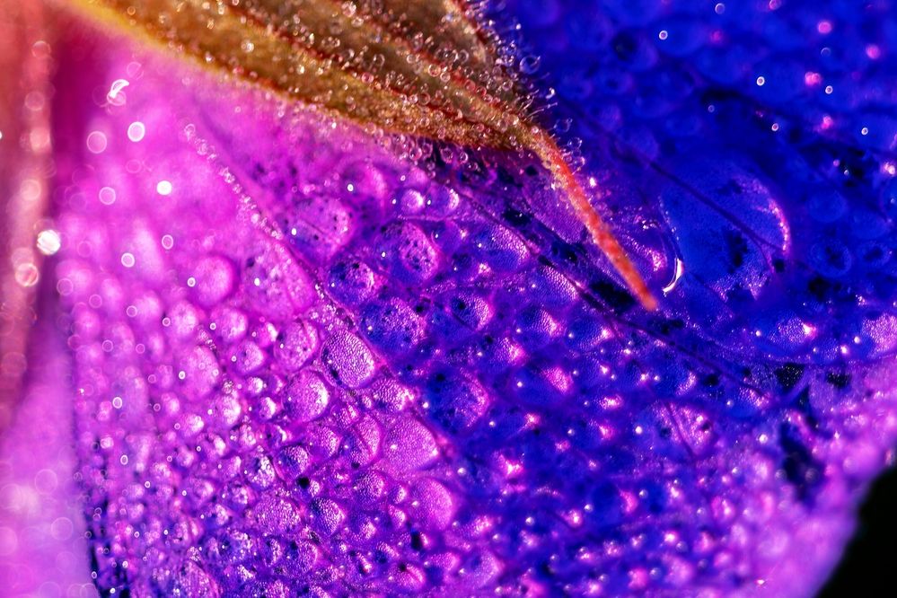 Photograph by Михаил Косолапов