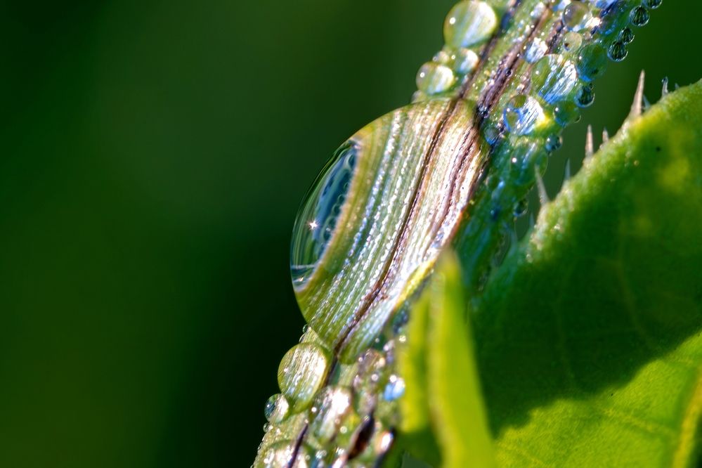 Photograph by Михаил Косолапов