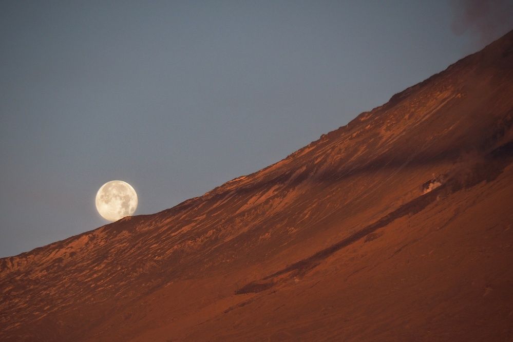 Фотография автора Elena Poddubnaja