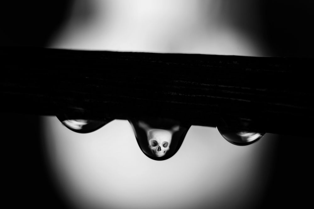 Photograph by Јелена Потребић