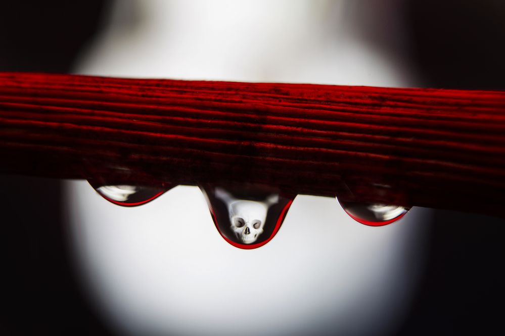 Photograph by Јелена Потребић