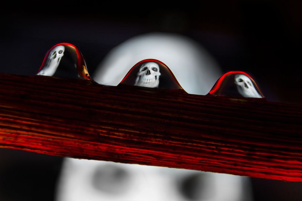 Photograph by Јелена Потребић