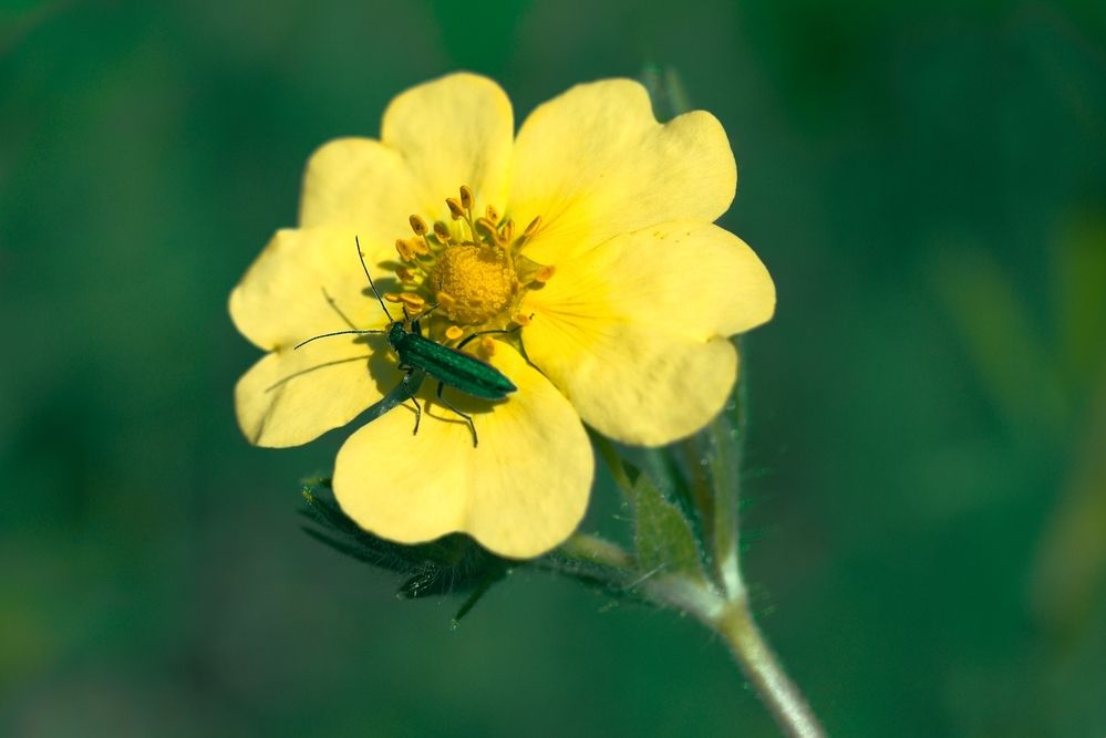 Photograph by Kveta Novotna