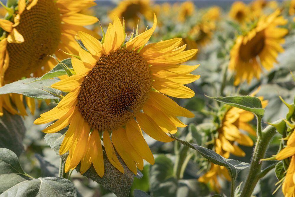 Photograph by Павел Герасимов