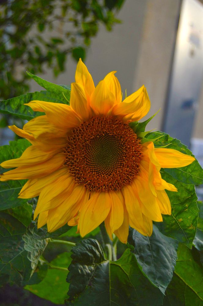 Photograph by Альбина