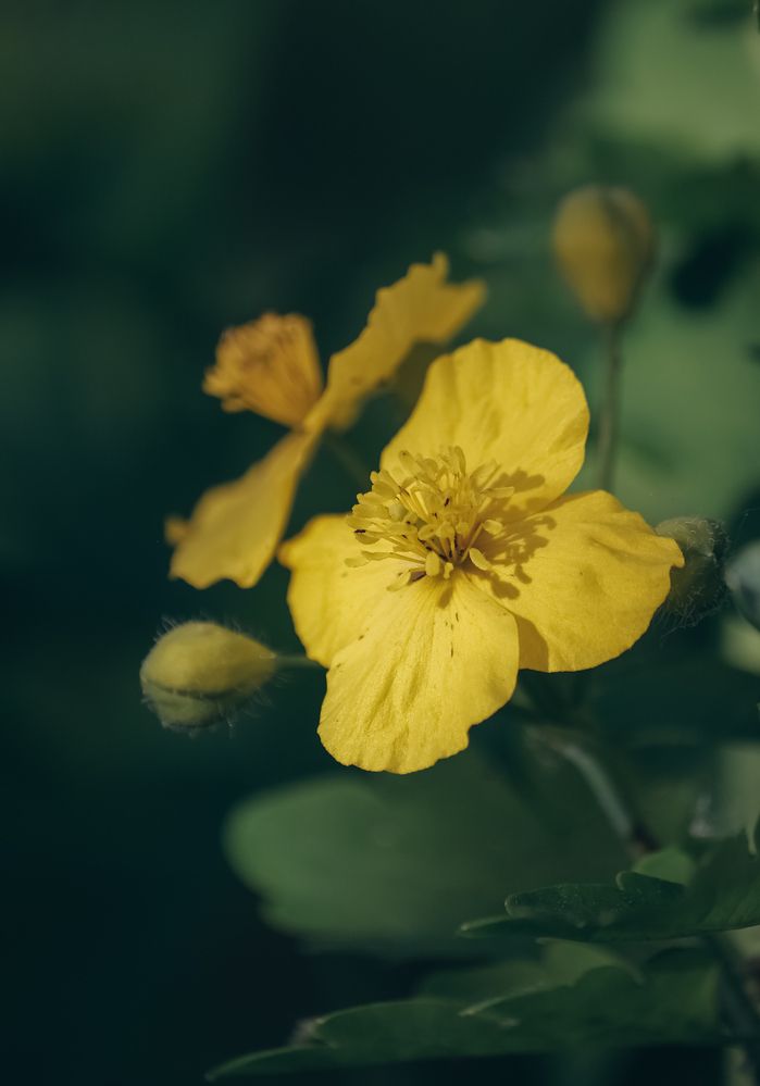 Photograph by Ригина Айдель