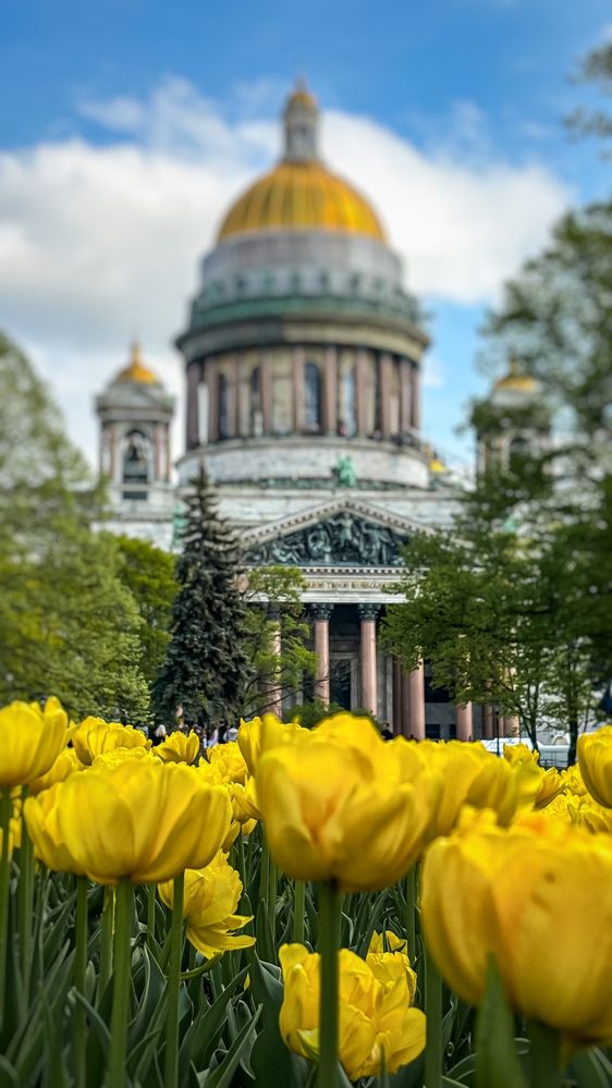 Photograph by Юлия Куклина